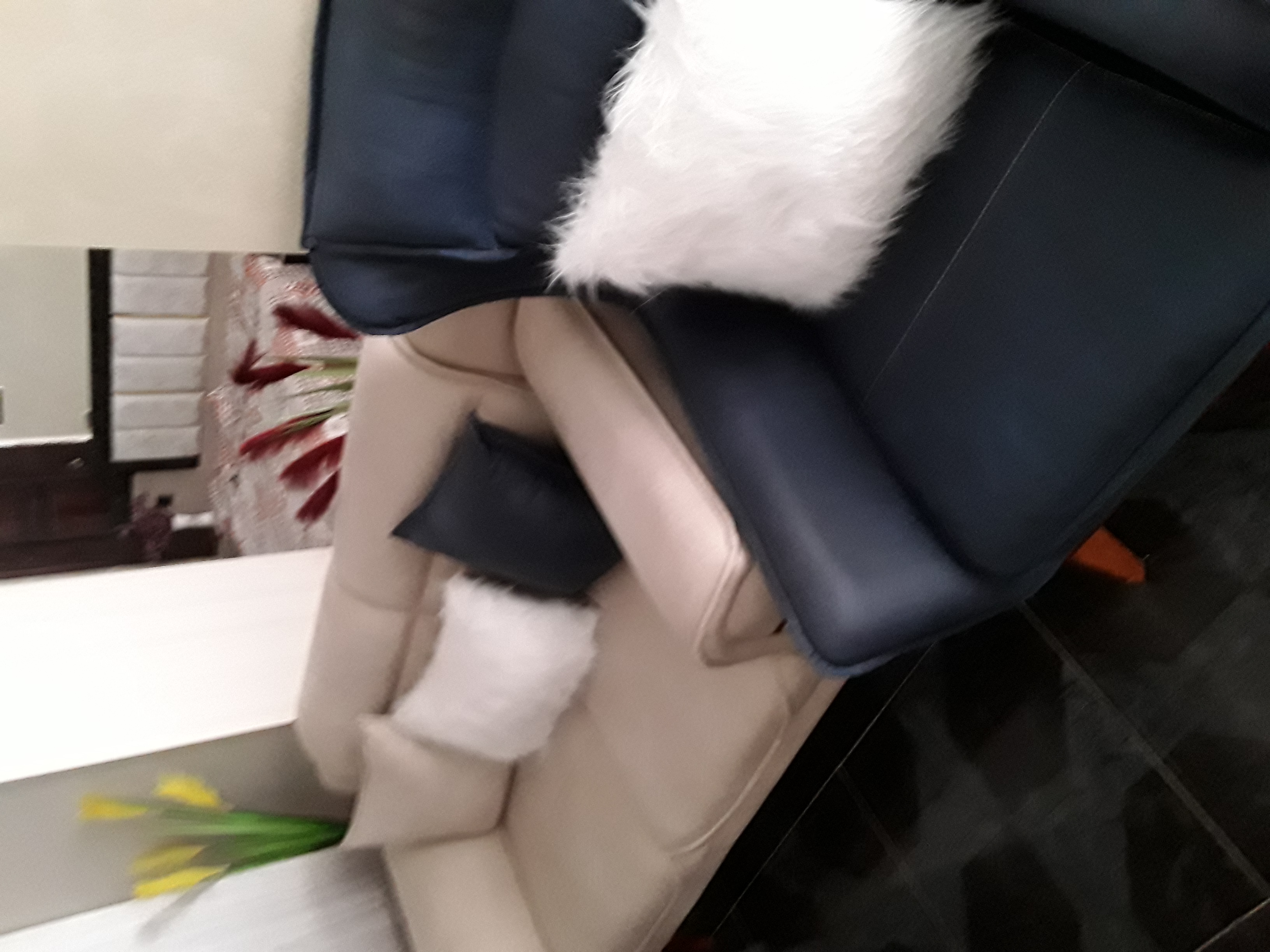 https://edecorista.com/imgs-product/img5842_73514_54.jpg
